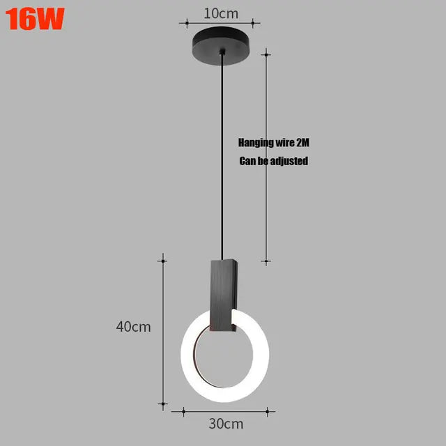 Aurora Halo Pendant Light Suspended Ring Ceiling Fixture